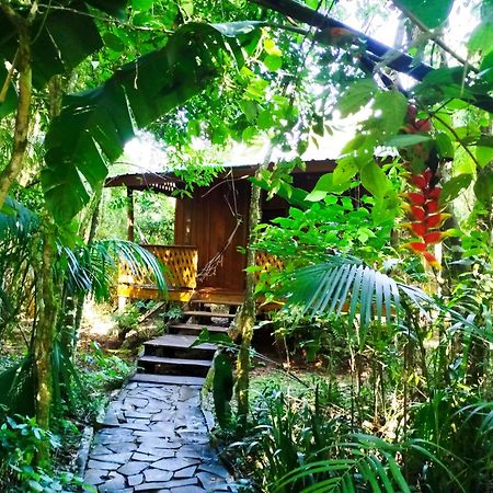 Yasi Yatere Reserva Agroecologica El Soberbio Ngoại thất bức ảnh