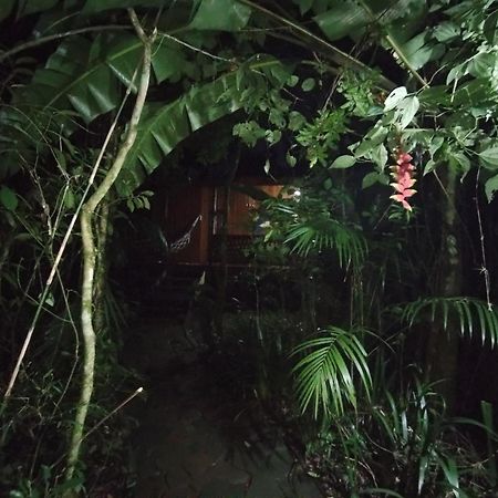Yasi Yatere Reserva Agroecologica El Soberbio Ngoại thất bức ảnh
