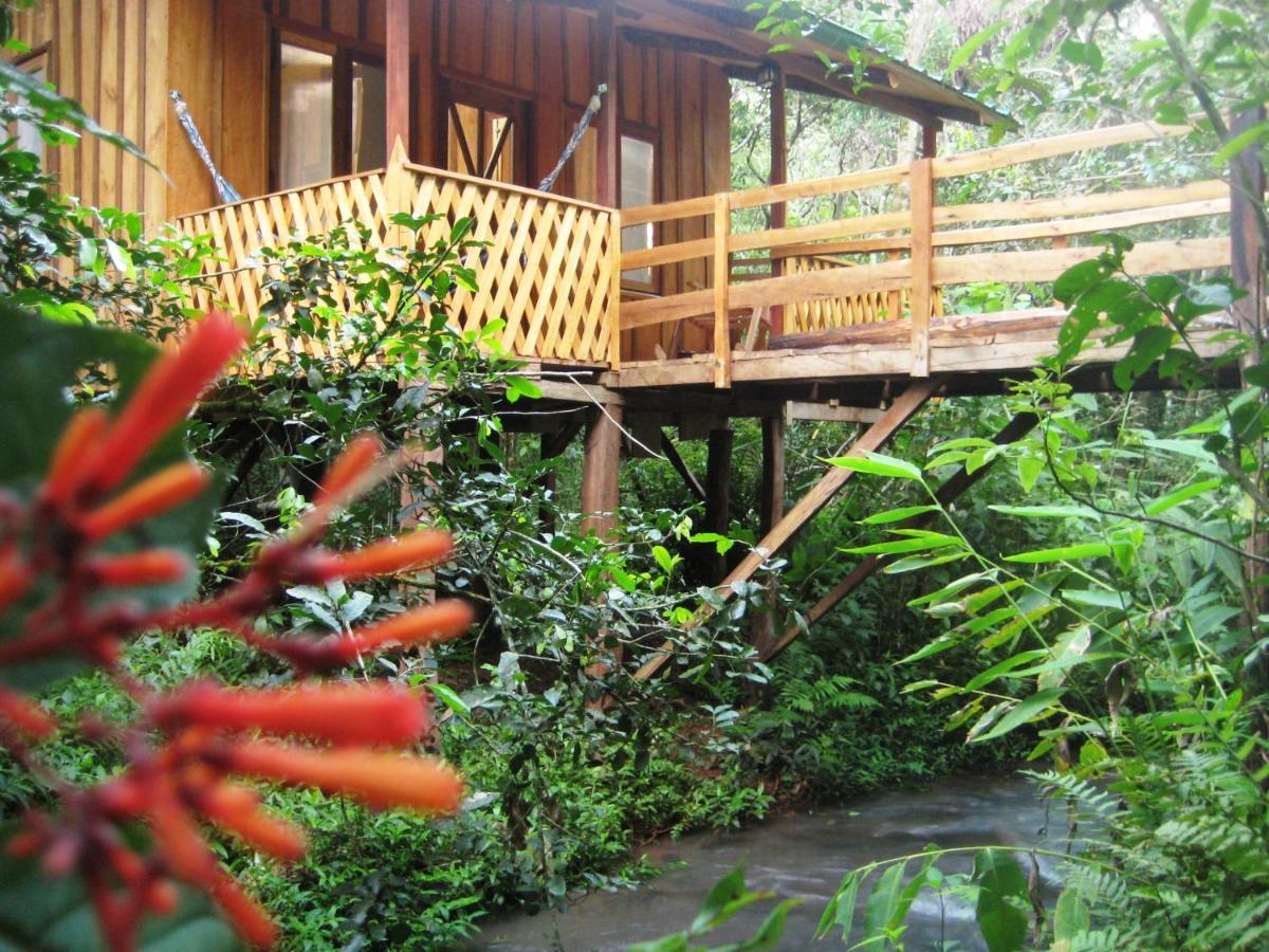 Yasi Yatere Reserva Agroecologica El Soberbio Ngoại thất bức ảnh
