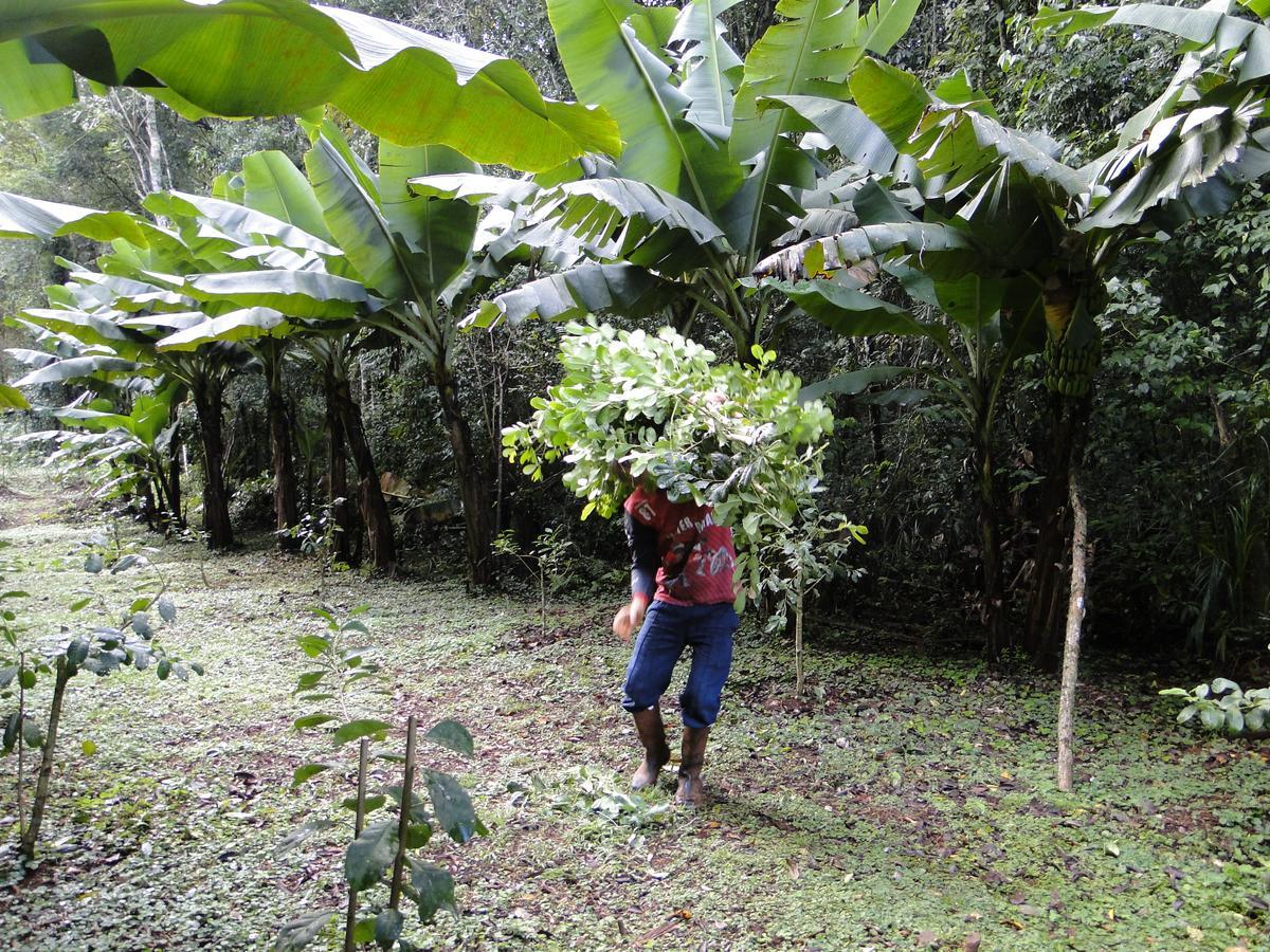 Yasi Yatere Reserva Agroecologica El Soberbio Ngoại thất bức ảnh