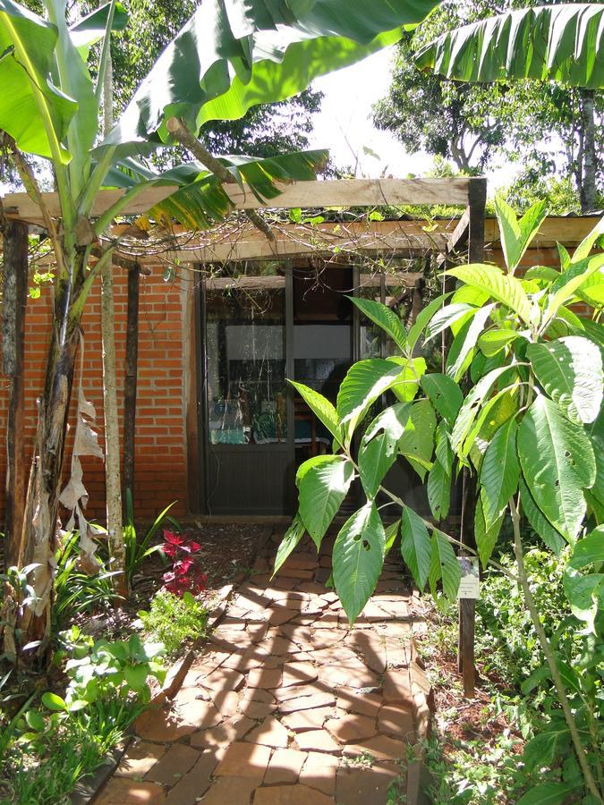 Yasi Yatere Reserva Agroecologica El Soberbio Ngoại thất bức ảnh